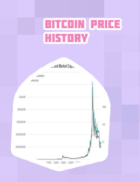 What was the lowest price of bitcoin